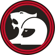 HSV