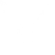 VinFast