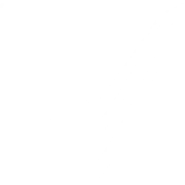VinFast