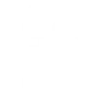 FSM