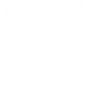 Arcfox