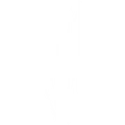 Varsovia