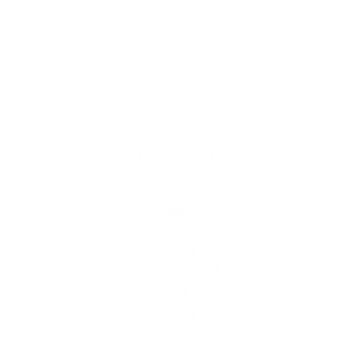Varsovia