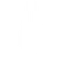 Arrinera